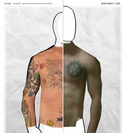 Torso Comparison