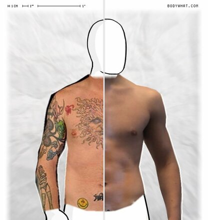 Torso Comparison