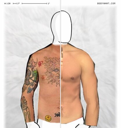 Torso Comparison