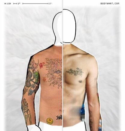 Torso Comparison