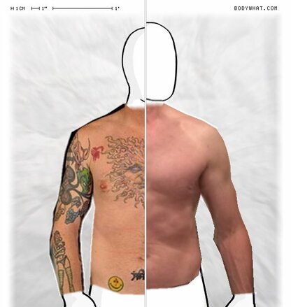 Torso Comparison