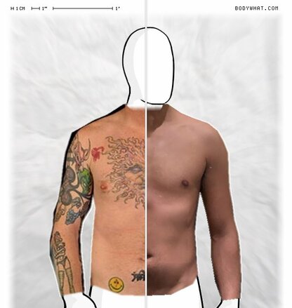 Torso Comparison