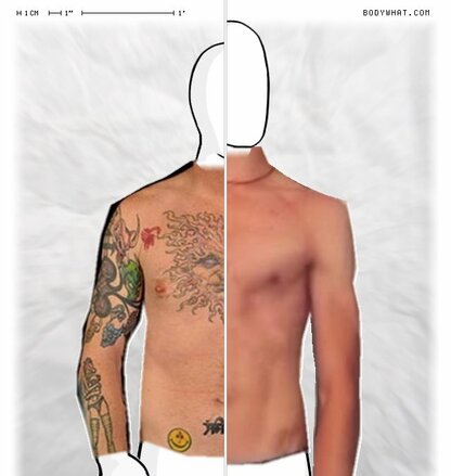 Torso Comparison