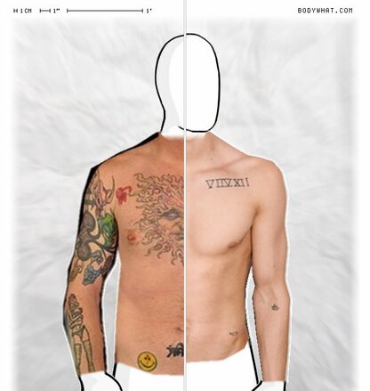 Torso Comparison