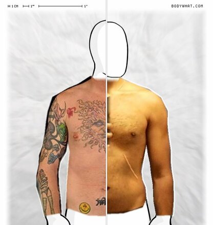 Torso Comparison