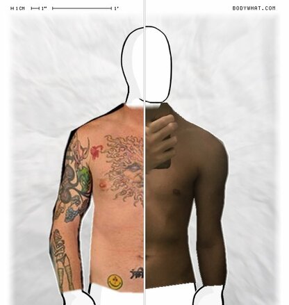 Torso Comparison