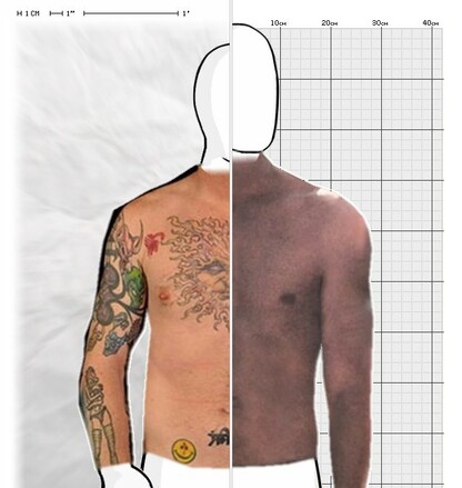 Torso Comparison