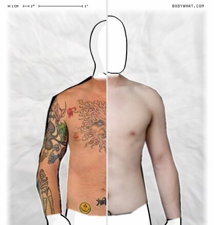 Torso Comparison
