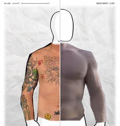 Torso Comparison