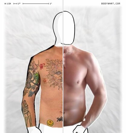 Torso Comparison