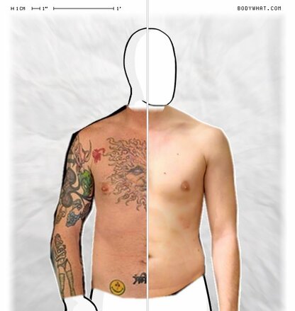 Torso Comparison
