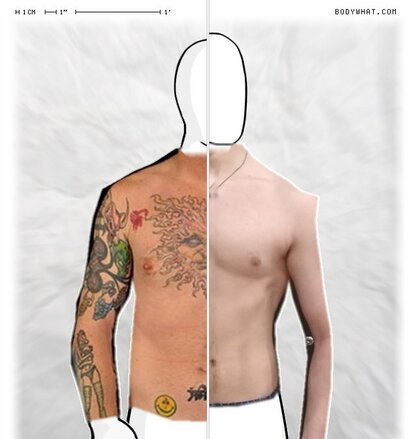 Torso Comparison