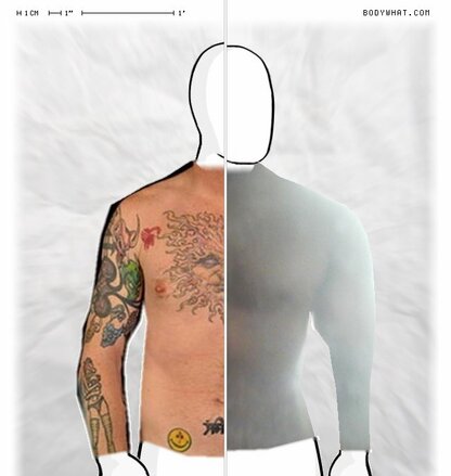 Torso Comparison