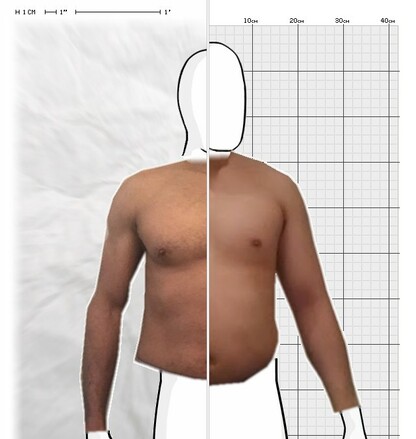 Torso Comparison