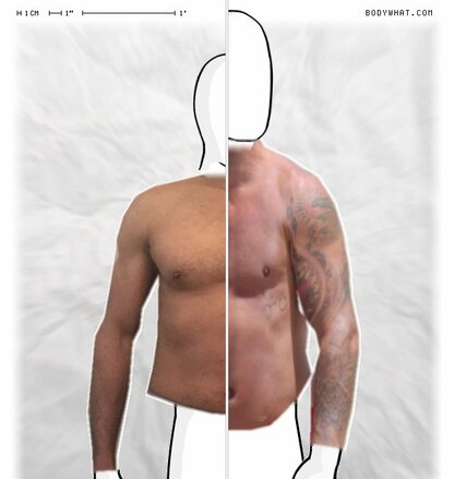 Torso Comparison