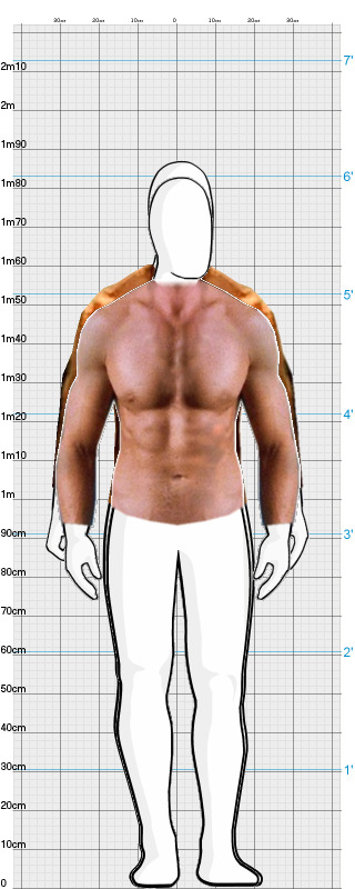 Full Size Comparison