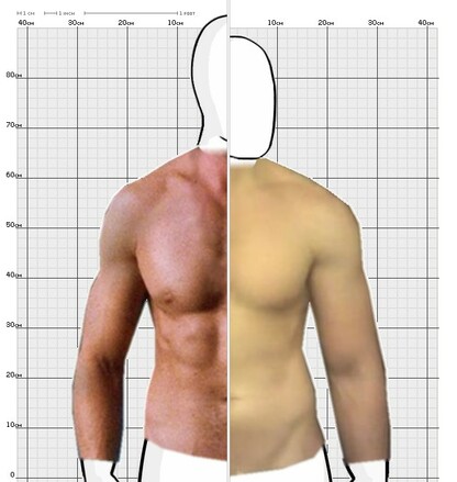 Torso Comparison
