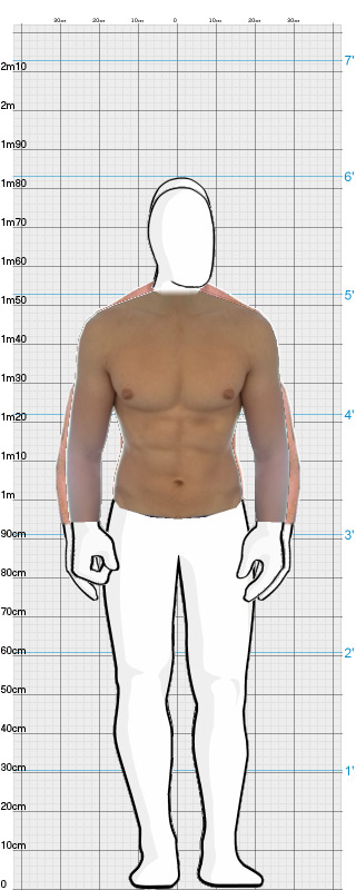 Full Size Comparison