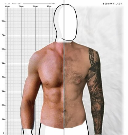 Torso Comparison