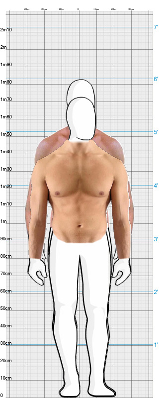 Full Size Comparison