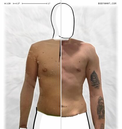 Torso Comparison