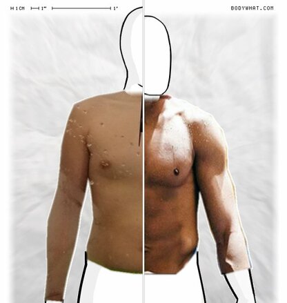 Torso Comparison