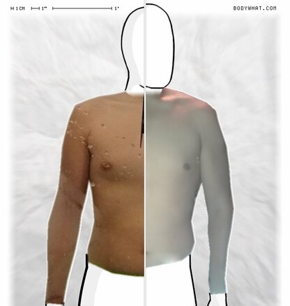 Torso Comparison