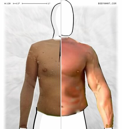 Torso Comparison