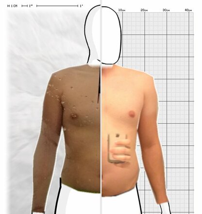 Torso Comparison