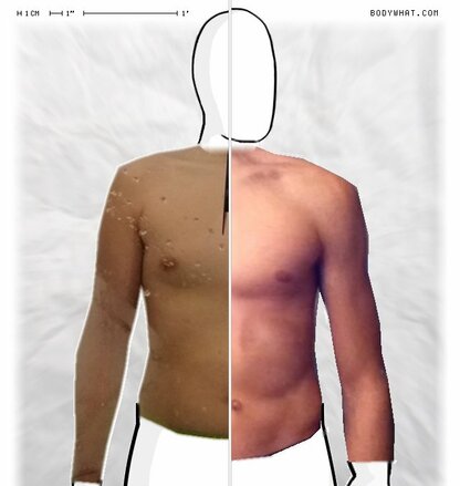 Torso Comparison