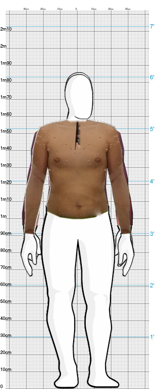 Full Size Comparison