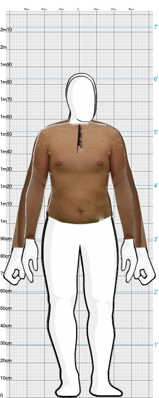 Full Size Comparison