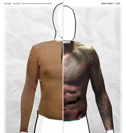 Torso Comparison