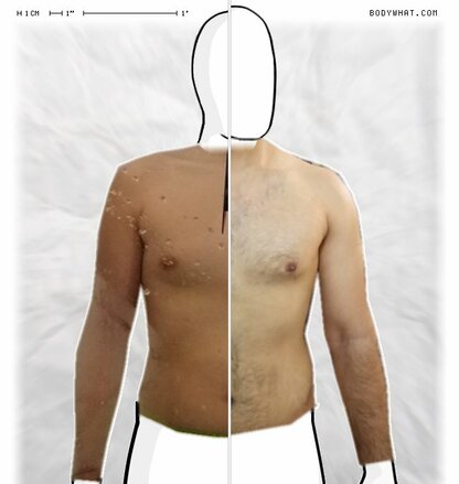 Torso Comparison