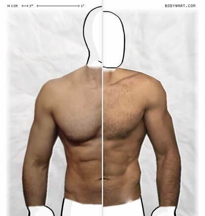 Torso Comparison