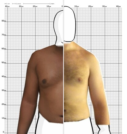 Torso Comparison