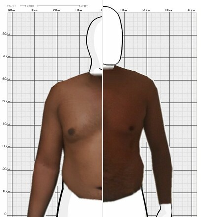 Torso Comparison