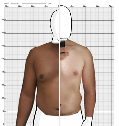 Torso Comparison