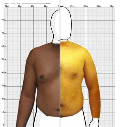 Torso Comparison