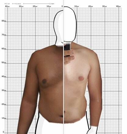 Torso Comparison