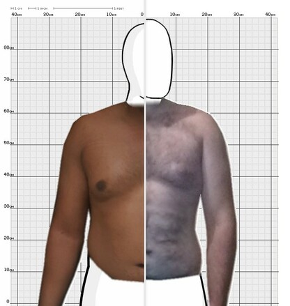 Torso Comparison