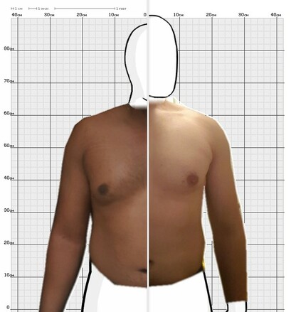 Torso Comparison