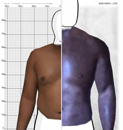 Torso Comparison