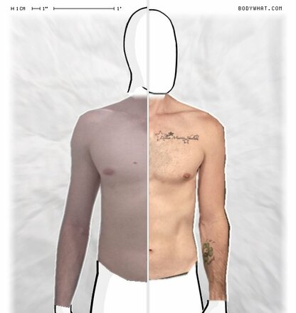 Torso Comparison