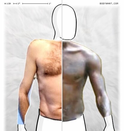 Torso Comparison