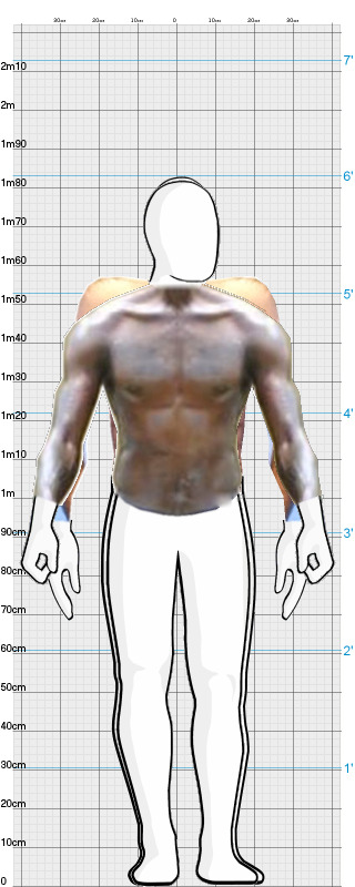 Full Size Comparison