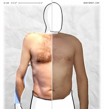 Torso Comparison