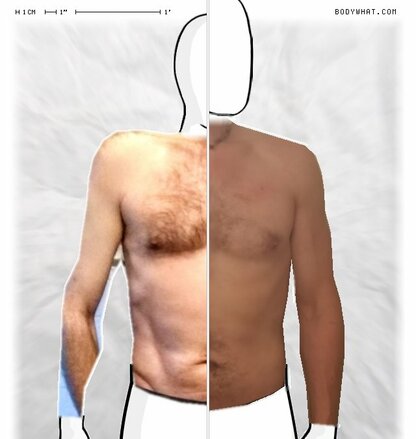 Torso Comparison