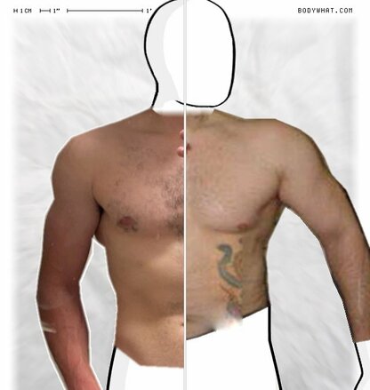 Torso Comparison