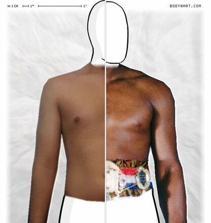Torso Comparison